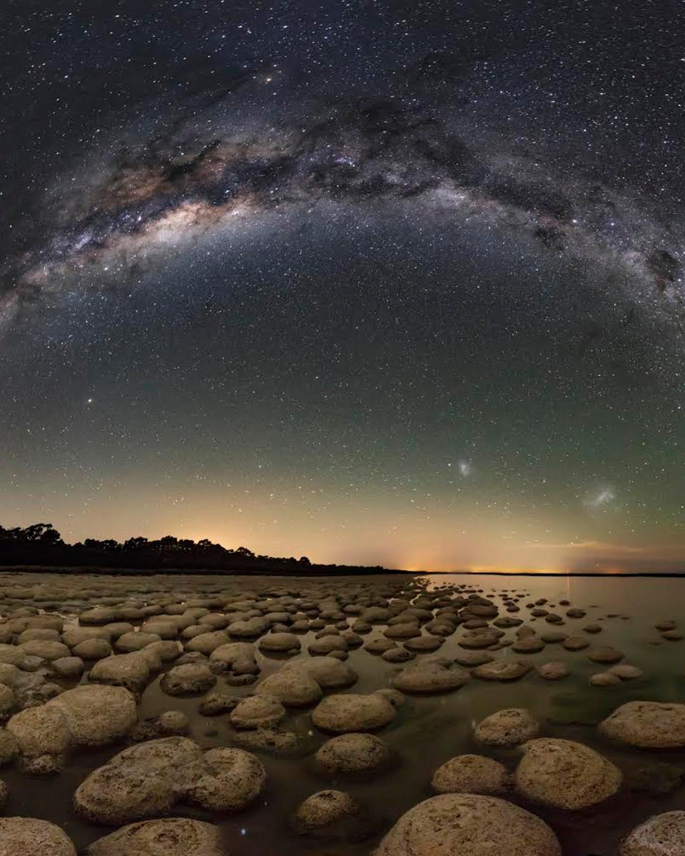Ancients of Sea and Sky
