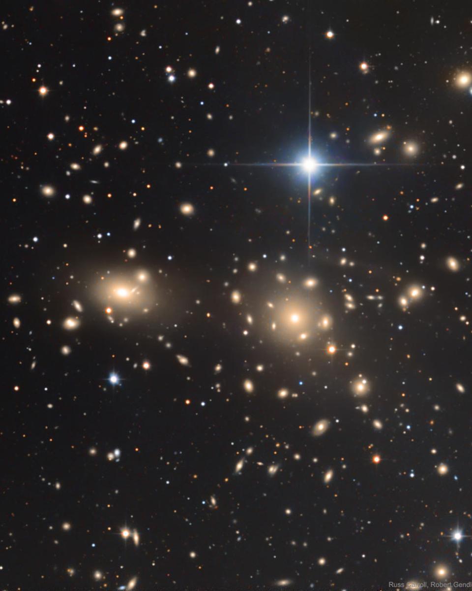 The Coma Cluster of Galaxies