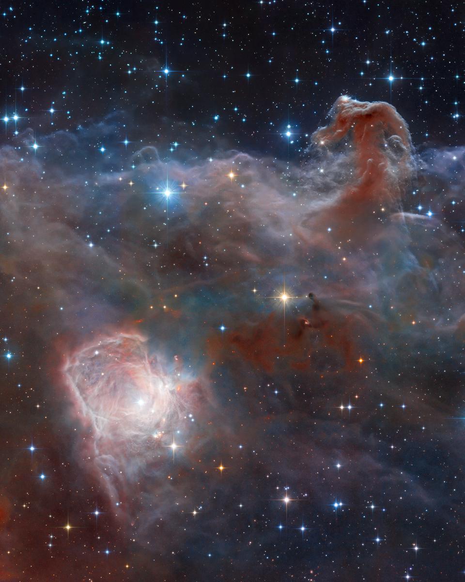 Horsehead: A Wider View