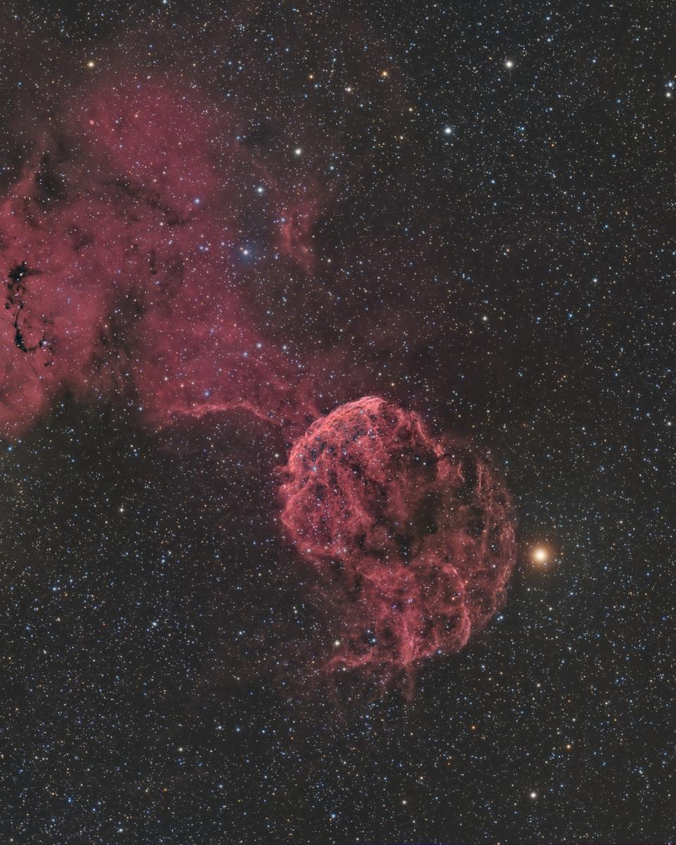 Sharpless 249 and the Jellyfish Nebula