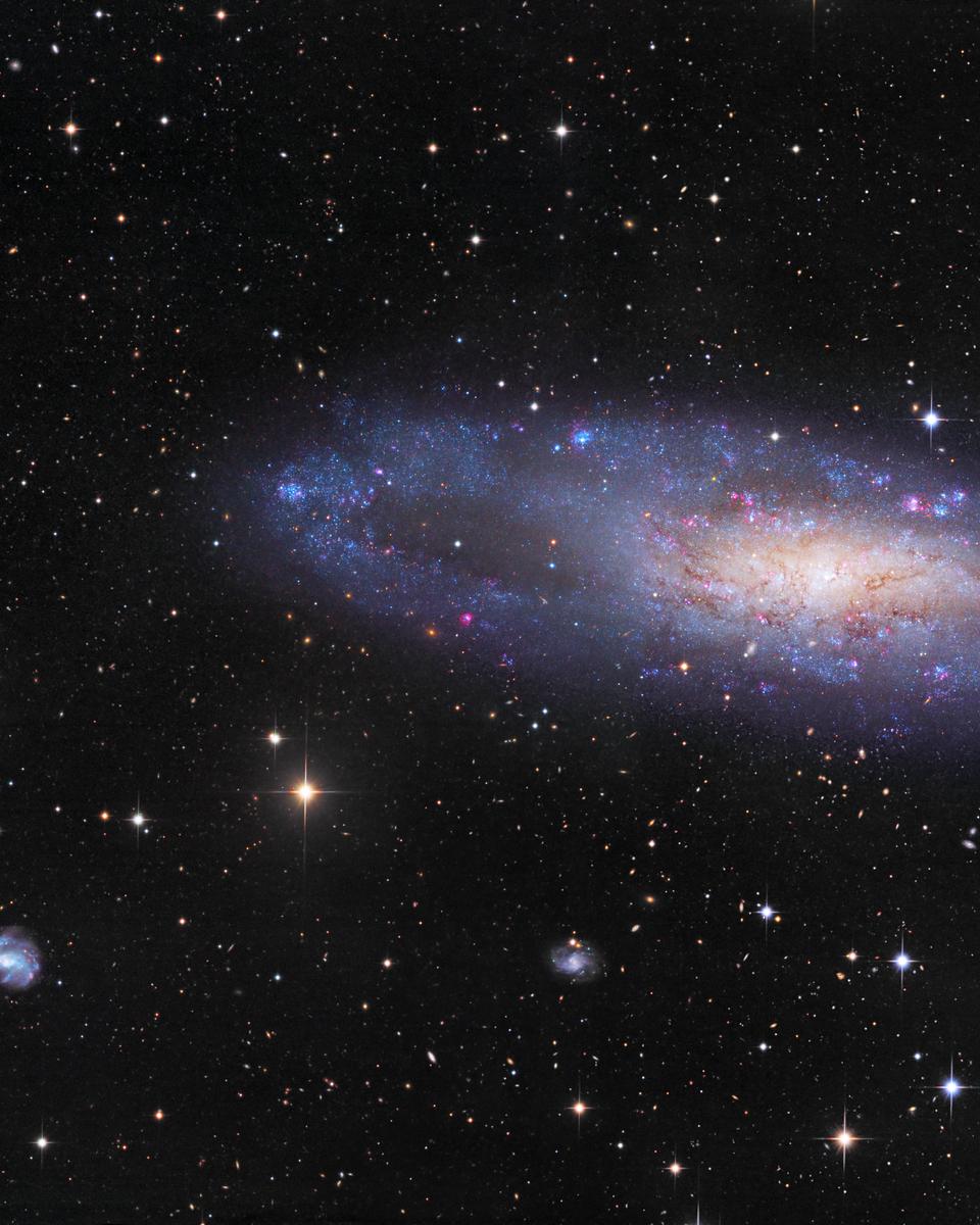 NGC 247 and Friends