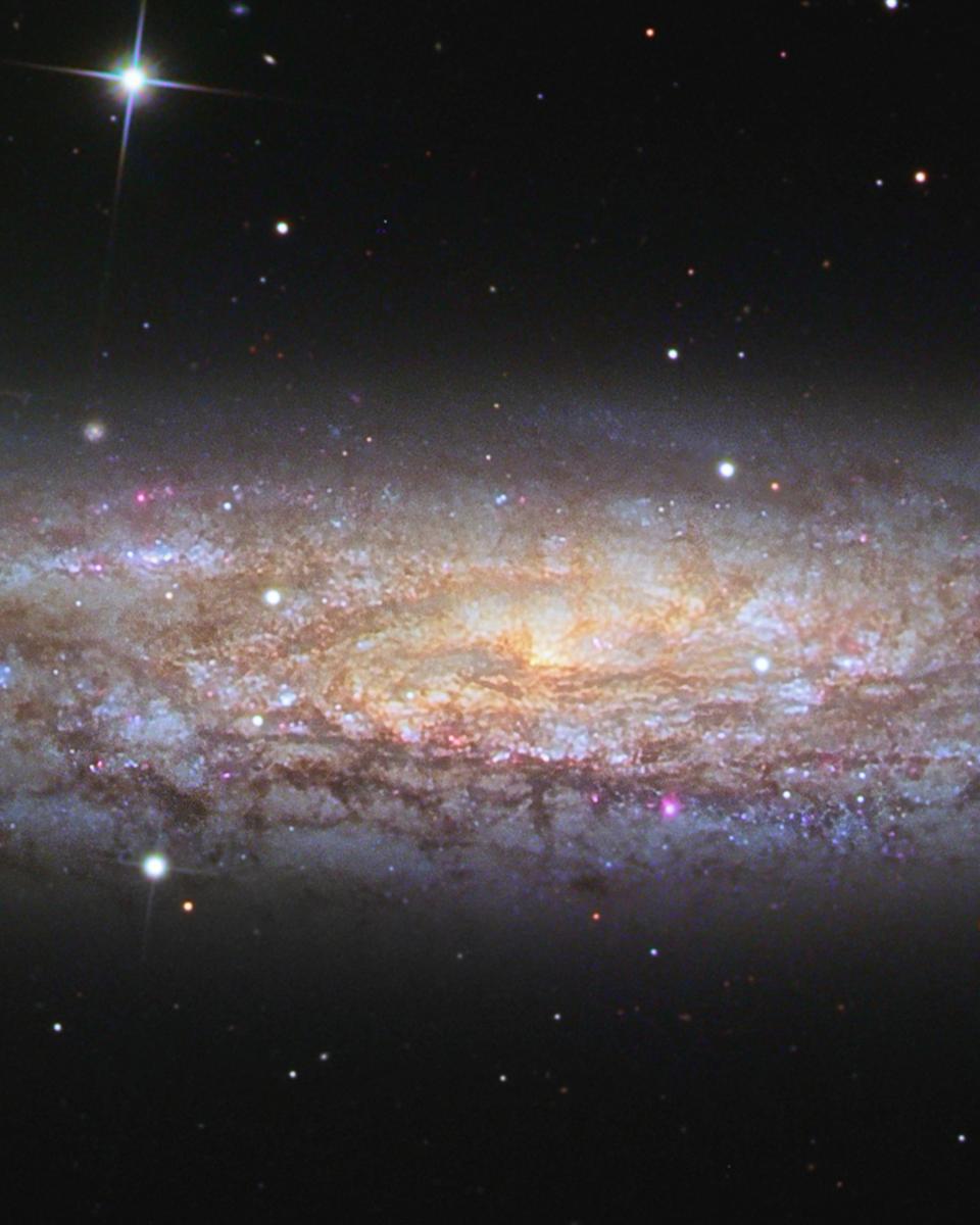 NGC 253: Dusty Island Universe