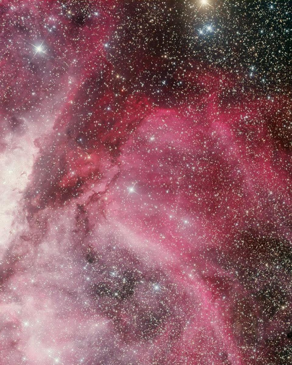 Announcing Nova Carinae 2018
