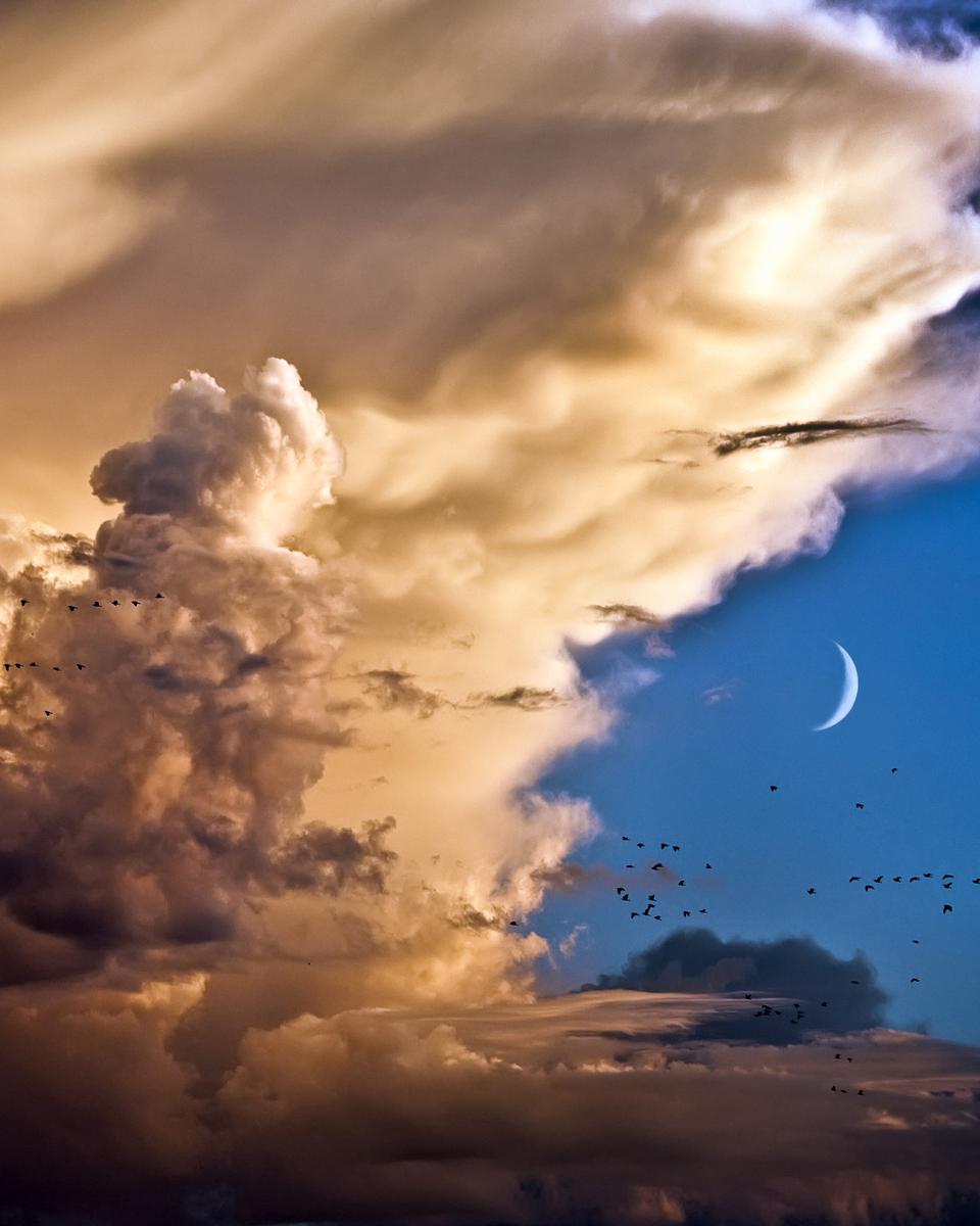 Clouds, Birds, Moon, Venus