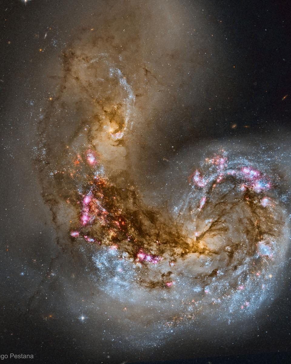 Spiral Galaxy NGC 4038 in Collision
