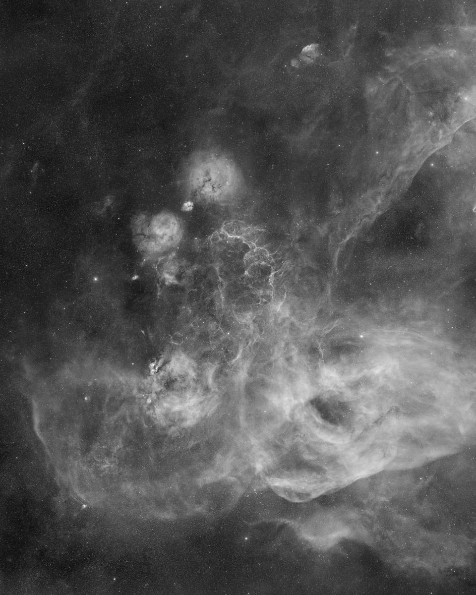 The Gum Nebula Expanse