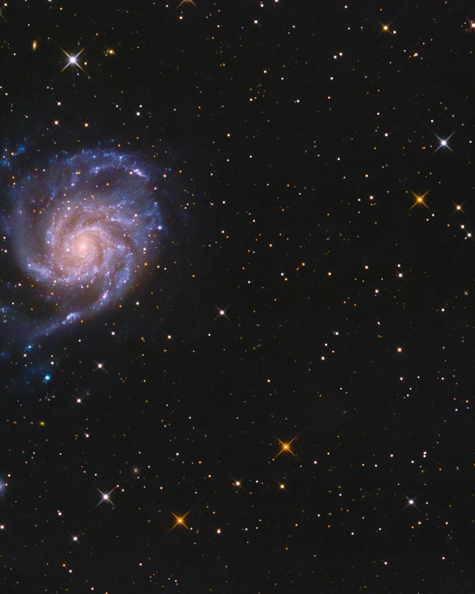 The View Toward M101