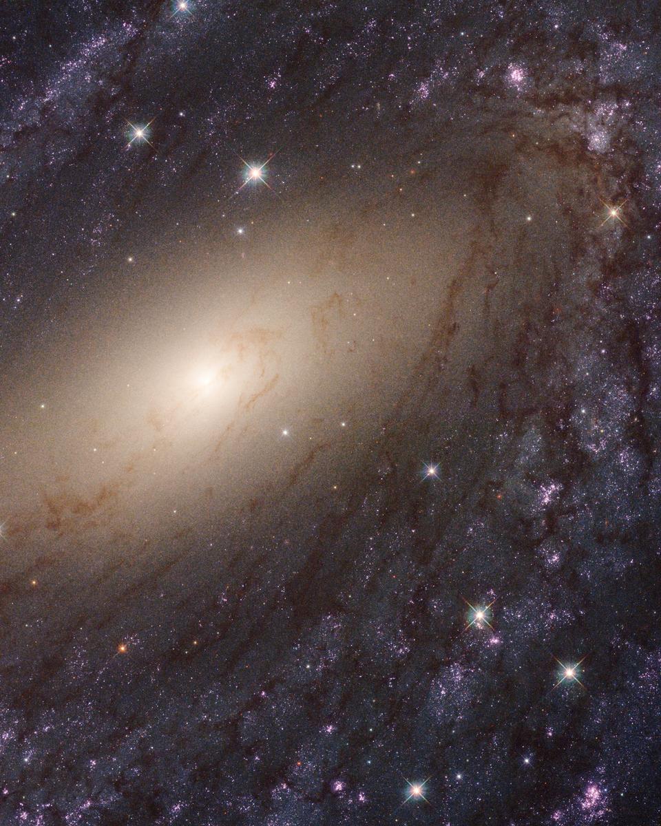 NGC 6744 Close Up