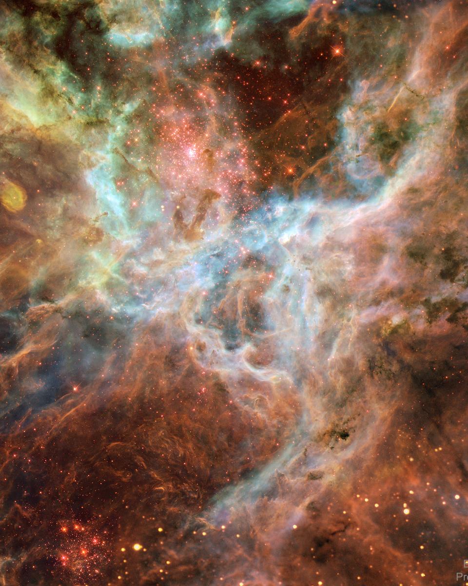 In the Heart of the Tarantula Nebula