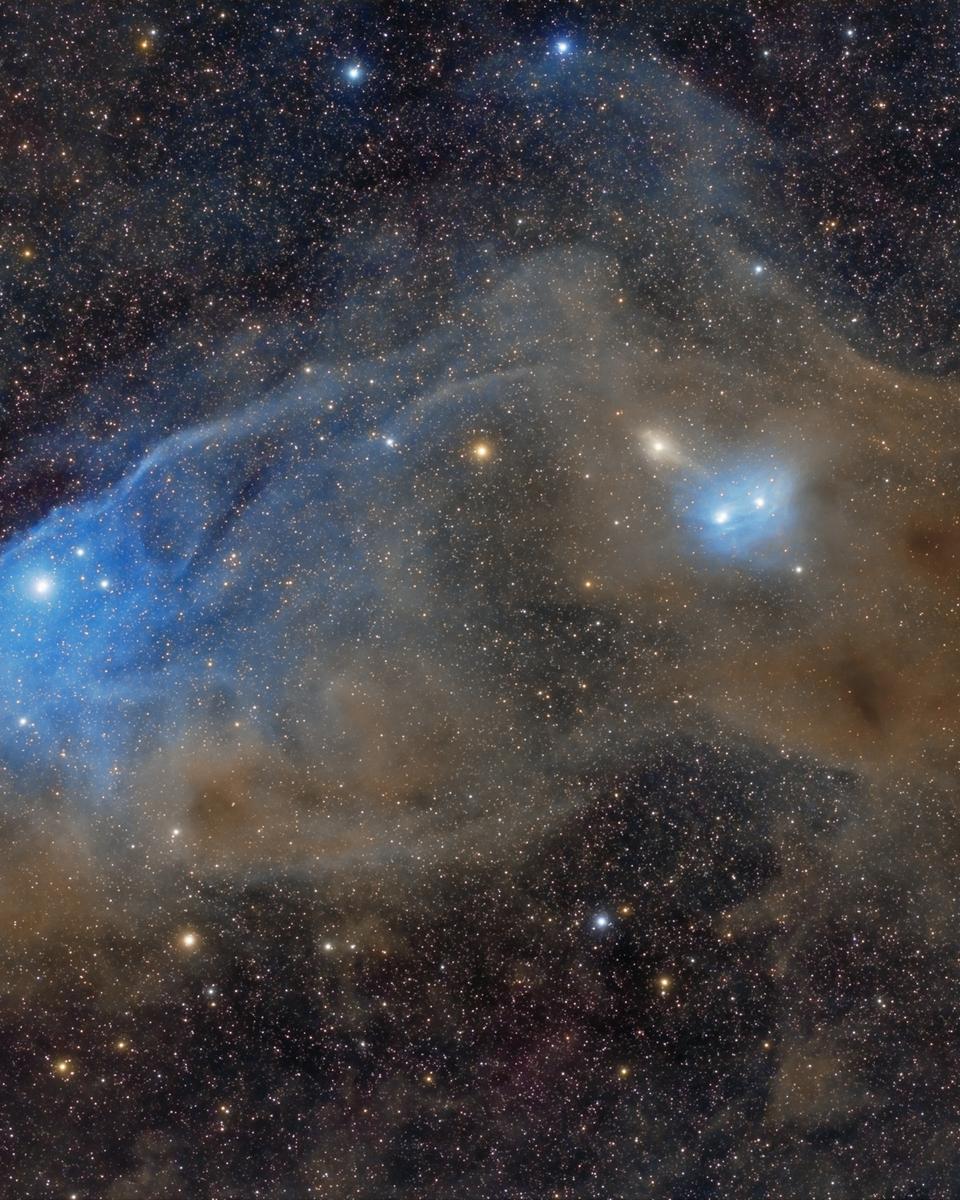 IC 4592: The Blue Horsehead Reflection Nebula
