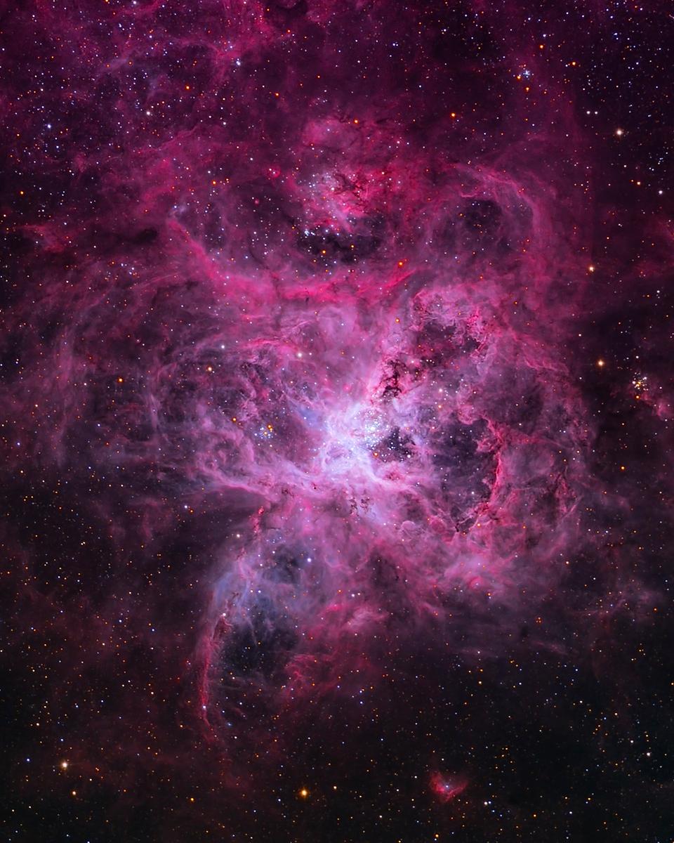 The Tarantula Nebula