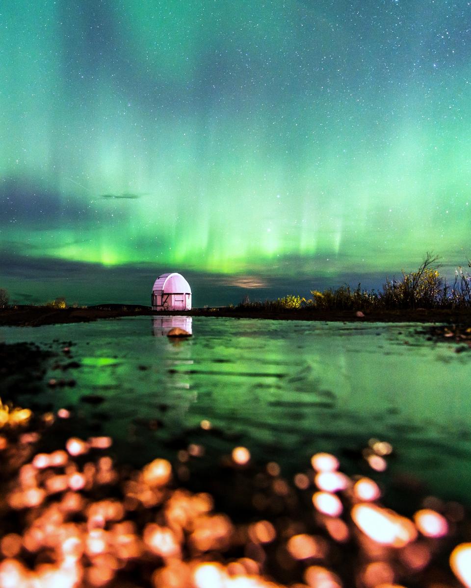 Aurora: The Frog's View
