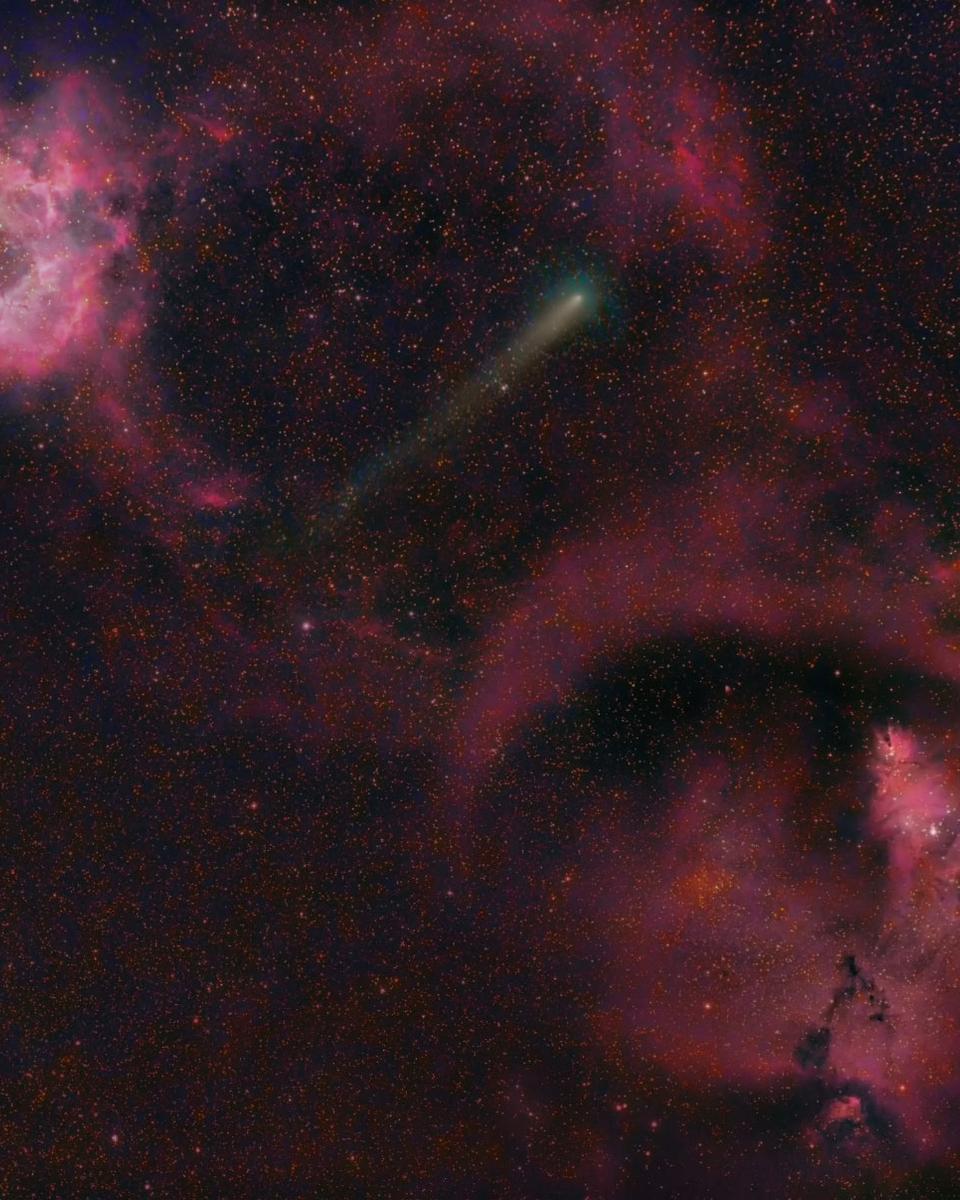 Comet 21P Between Rosette and Cone Nebulas