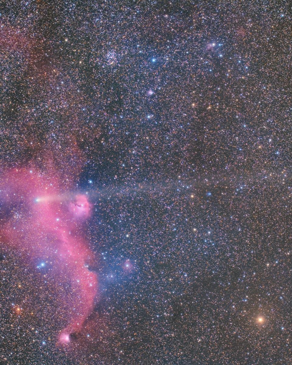 Meteor, Comet, and Seagull (Nebula)