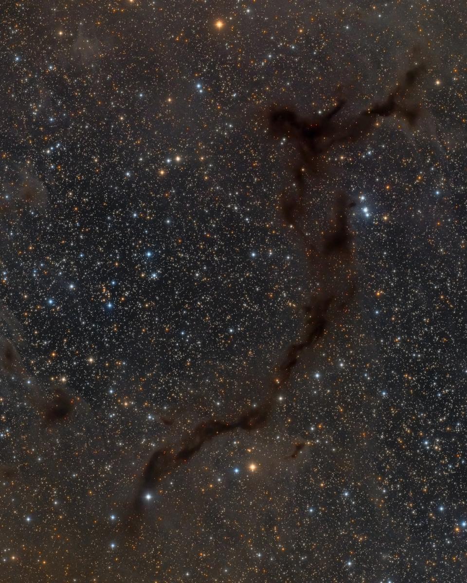 Barnard 150: Seahorse in Cepheus