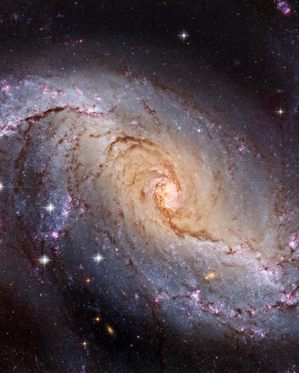 NGC 1672: Barred Spiral Galaxy from Hubble