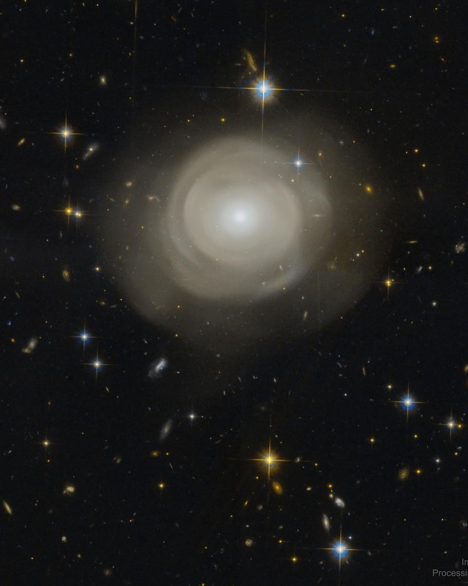 Shells of Stars in Elliptical Galaxy PGC 42871