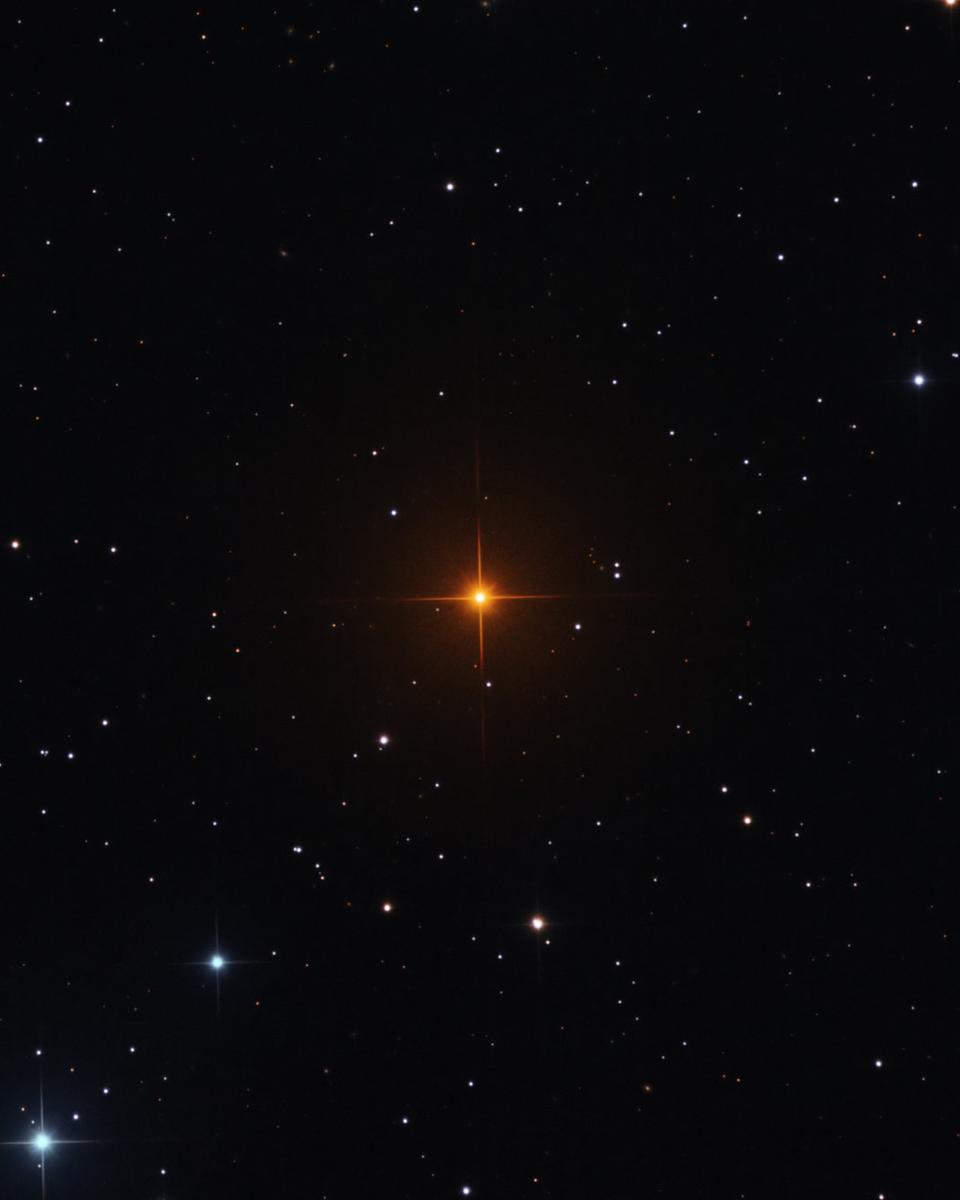 R Leporis: A Vampire's Star