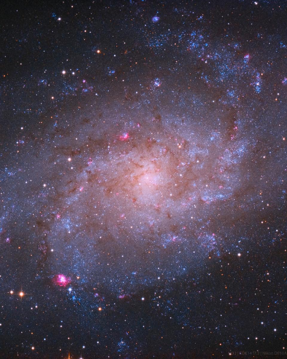 M33: Triangulum Galaxy