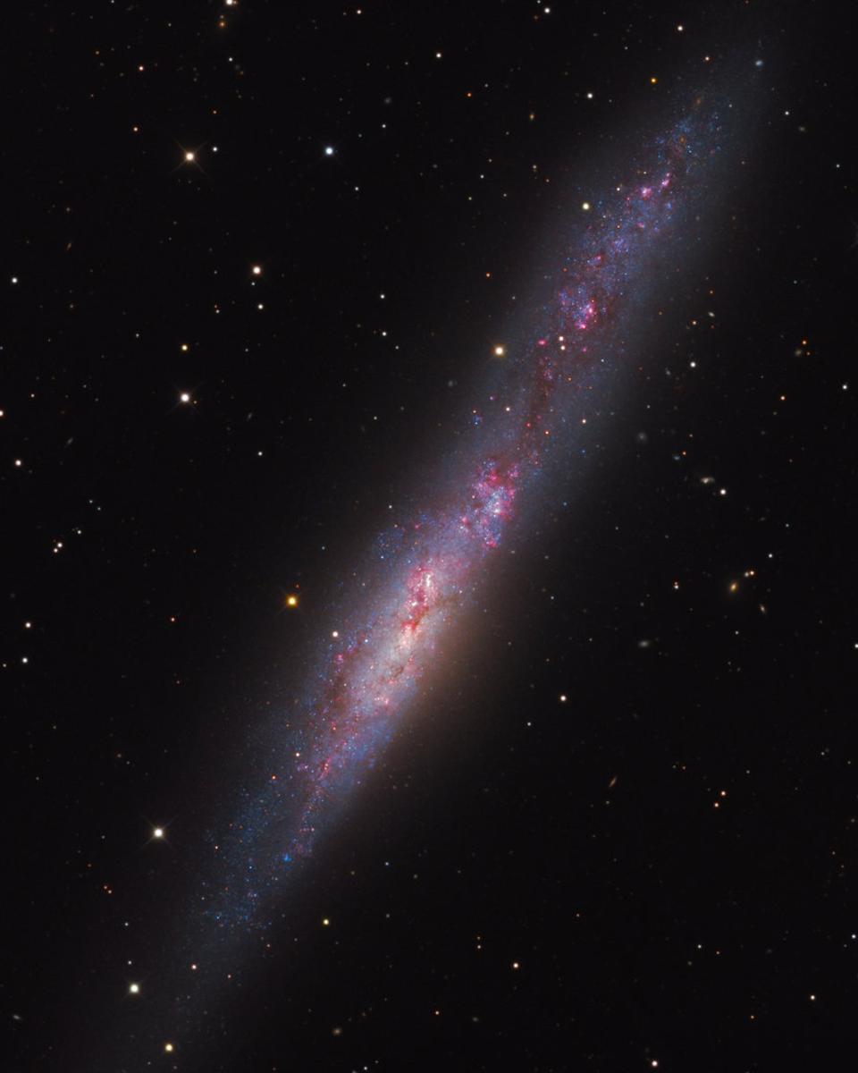 Irregular Galaxy NGC 55