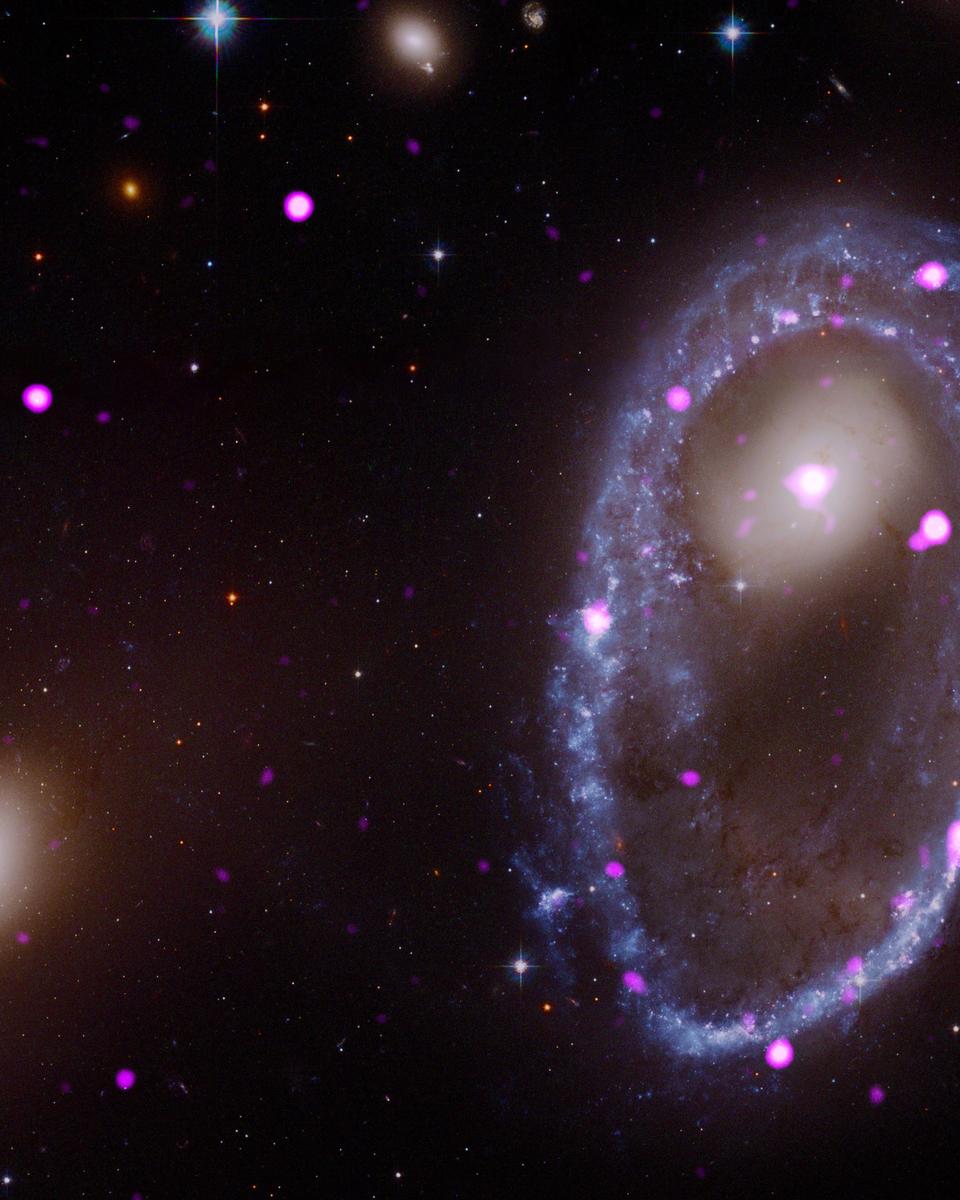 Cosmic Collision Forges Galactic Ring