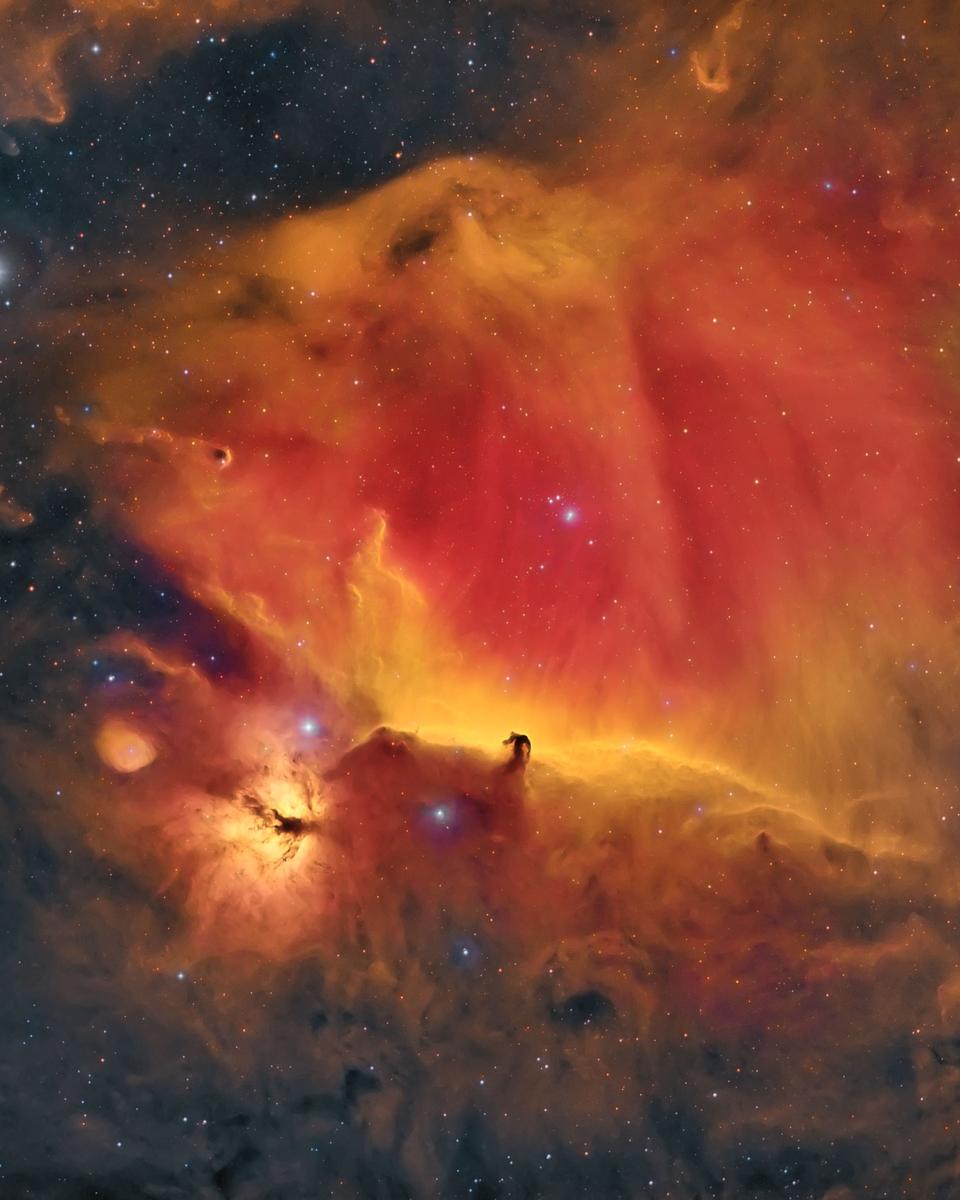 Wisps Surrounding the Horsehead Nebula