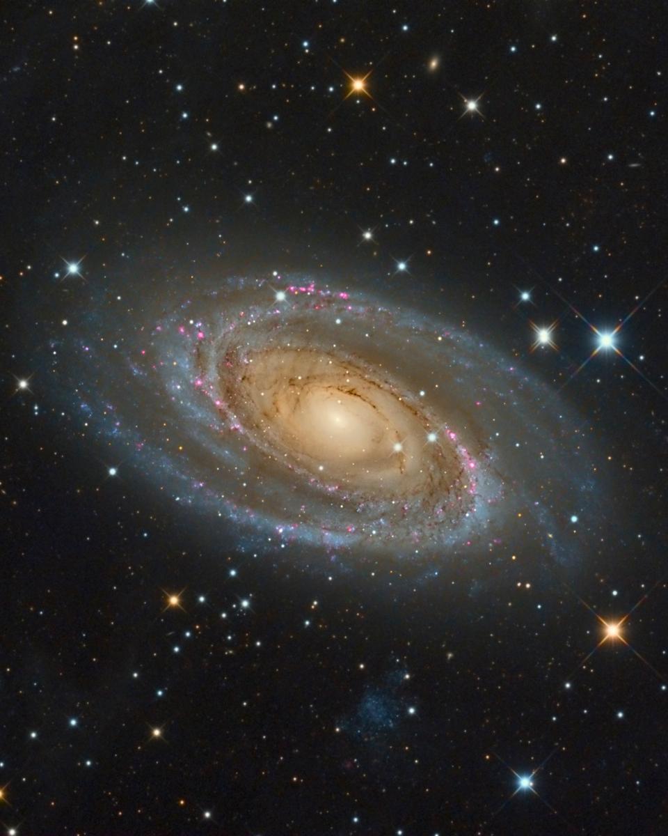 Messier 81