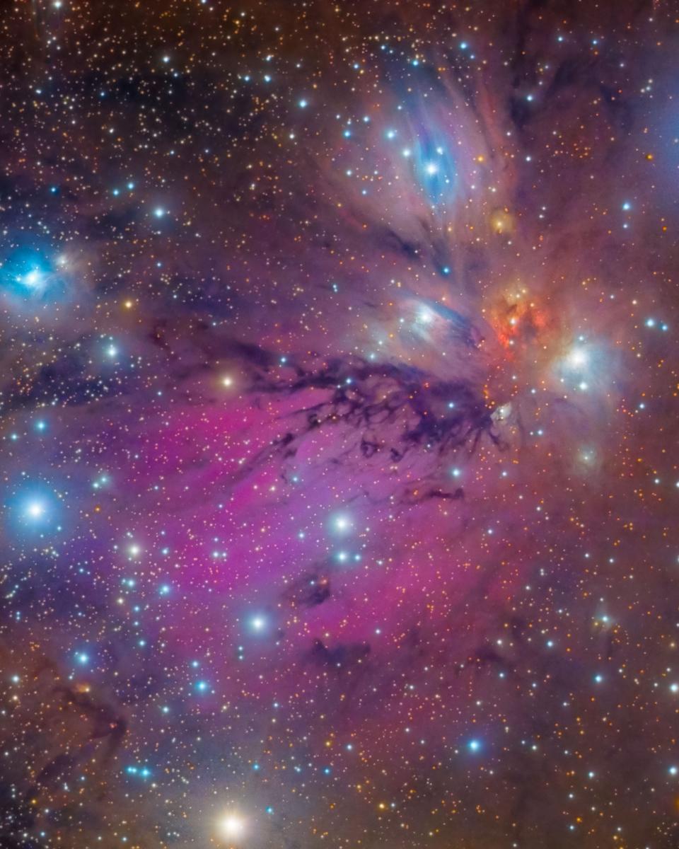NGC 2170: Angel Nebula Still Life