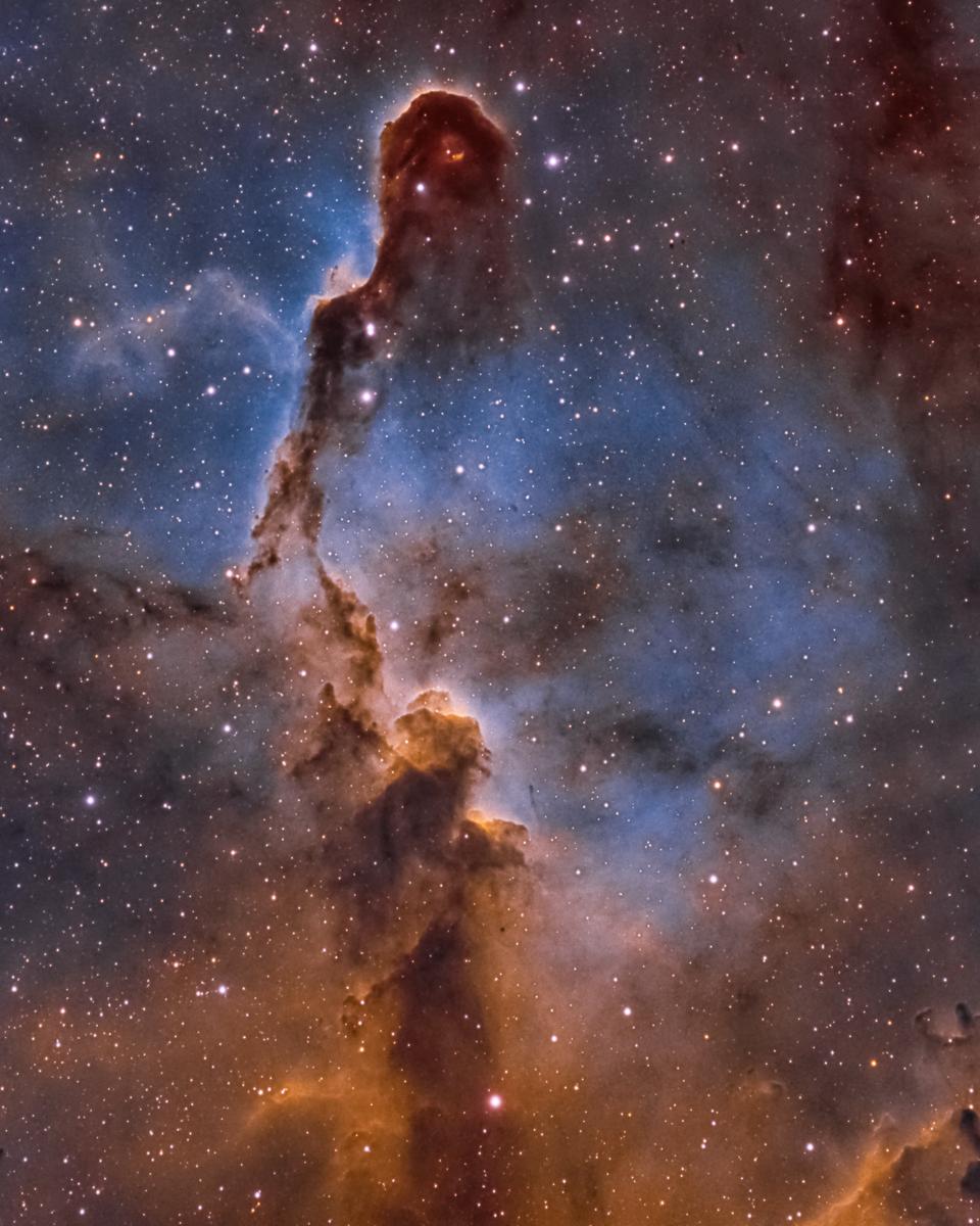 The Elephant's Trunk Nebula in Cepheus