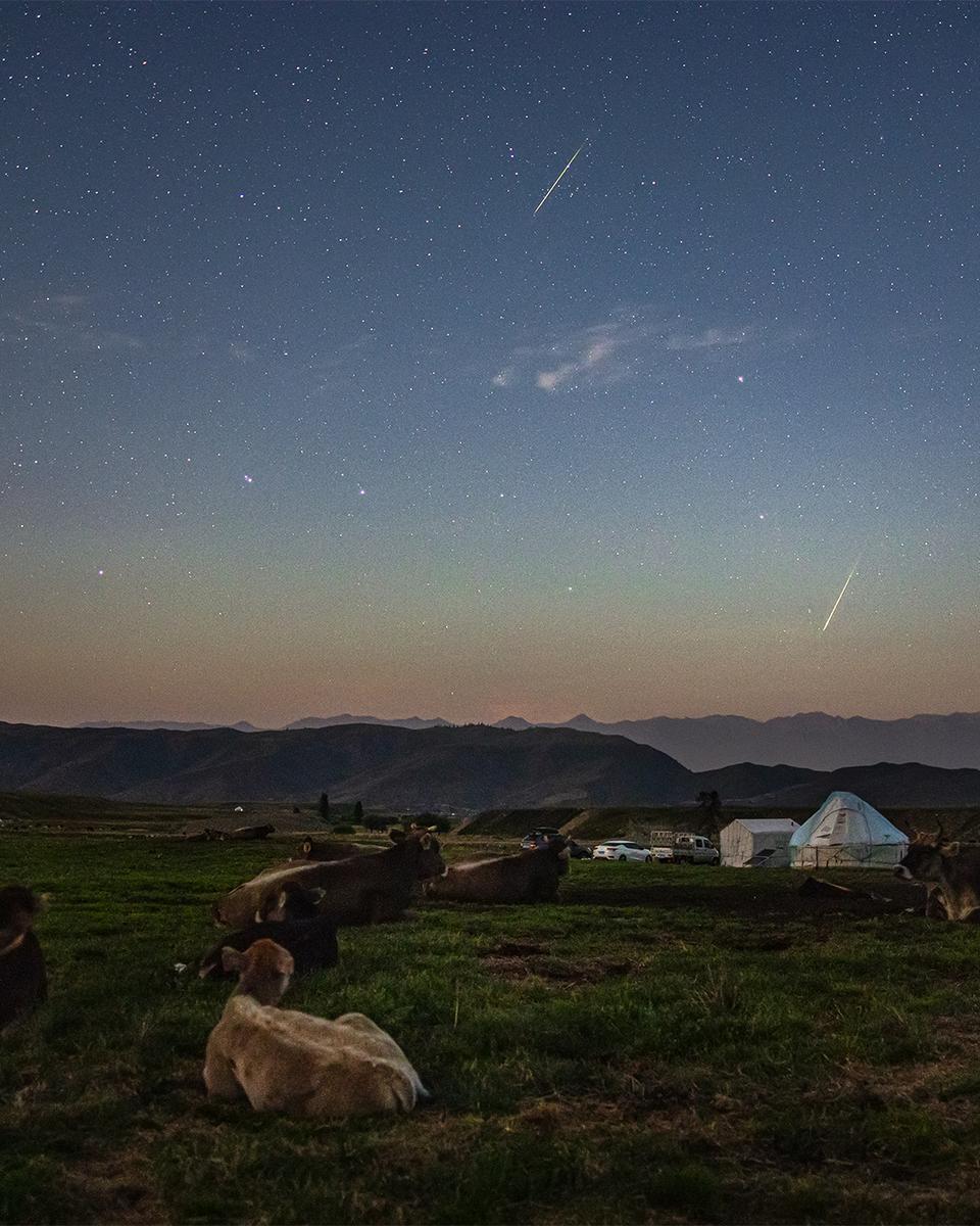 The Perseids and the Plough