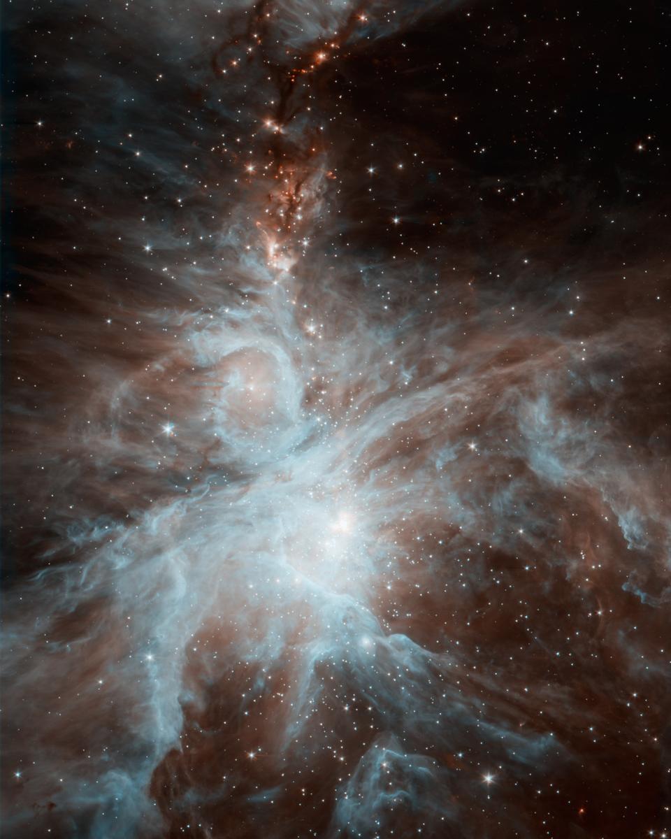 Spitzer's Orion