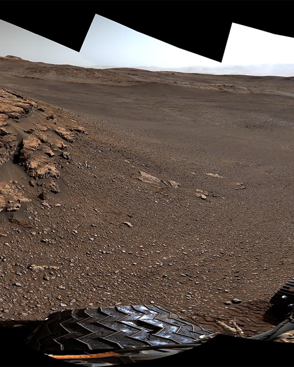 Curiosity at Teal Ridge