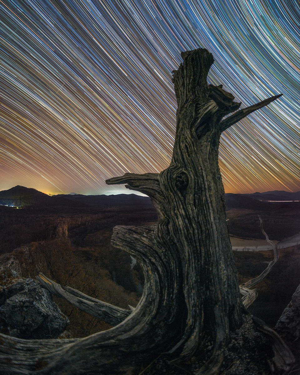 Lines of Time