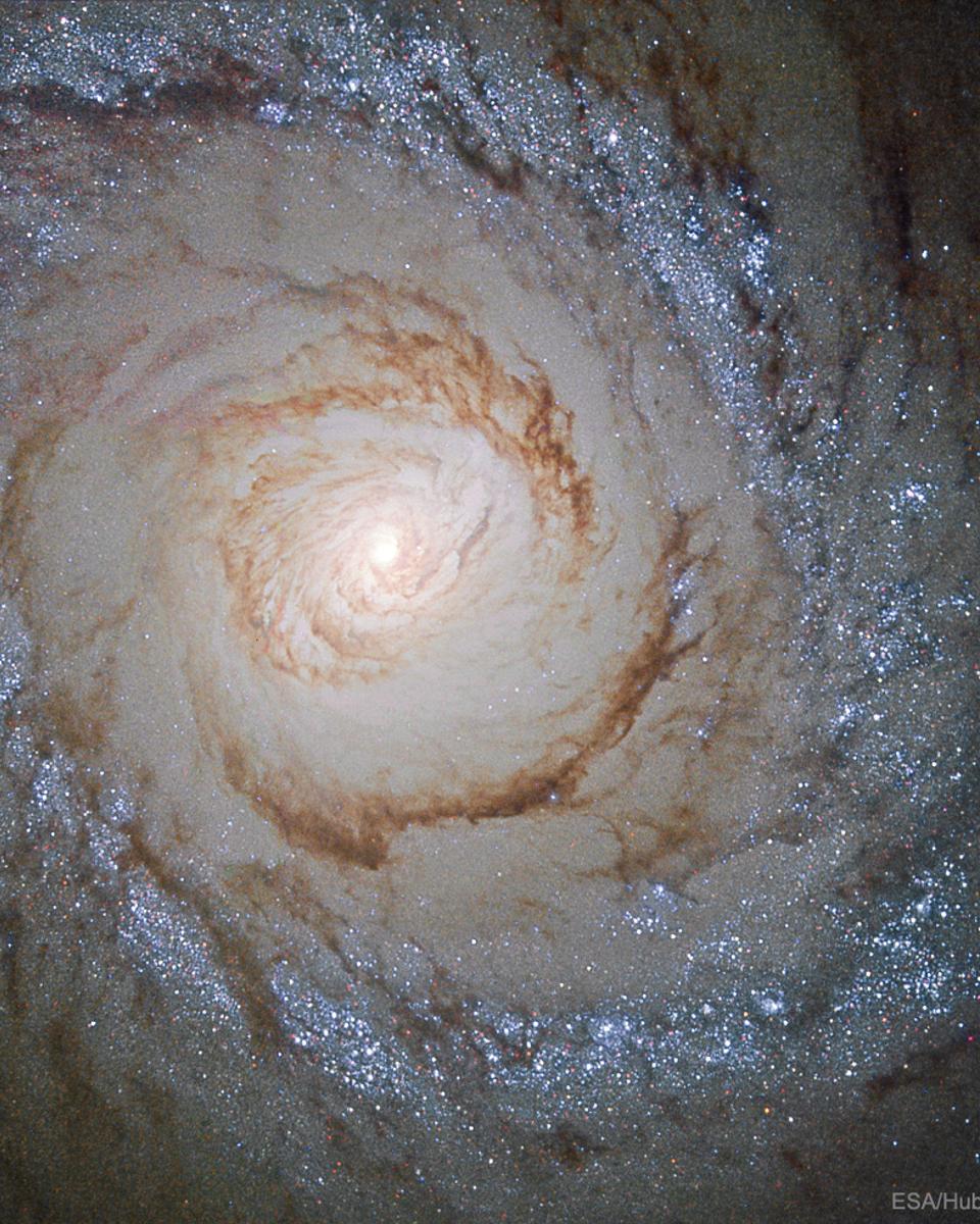 Starburst Galaxy M94 from Hubble