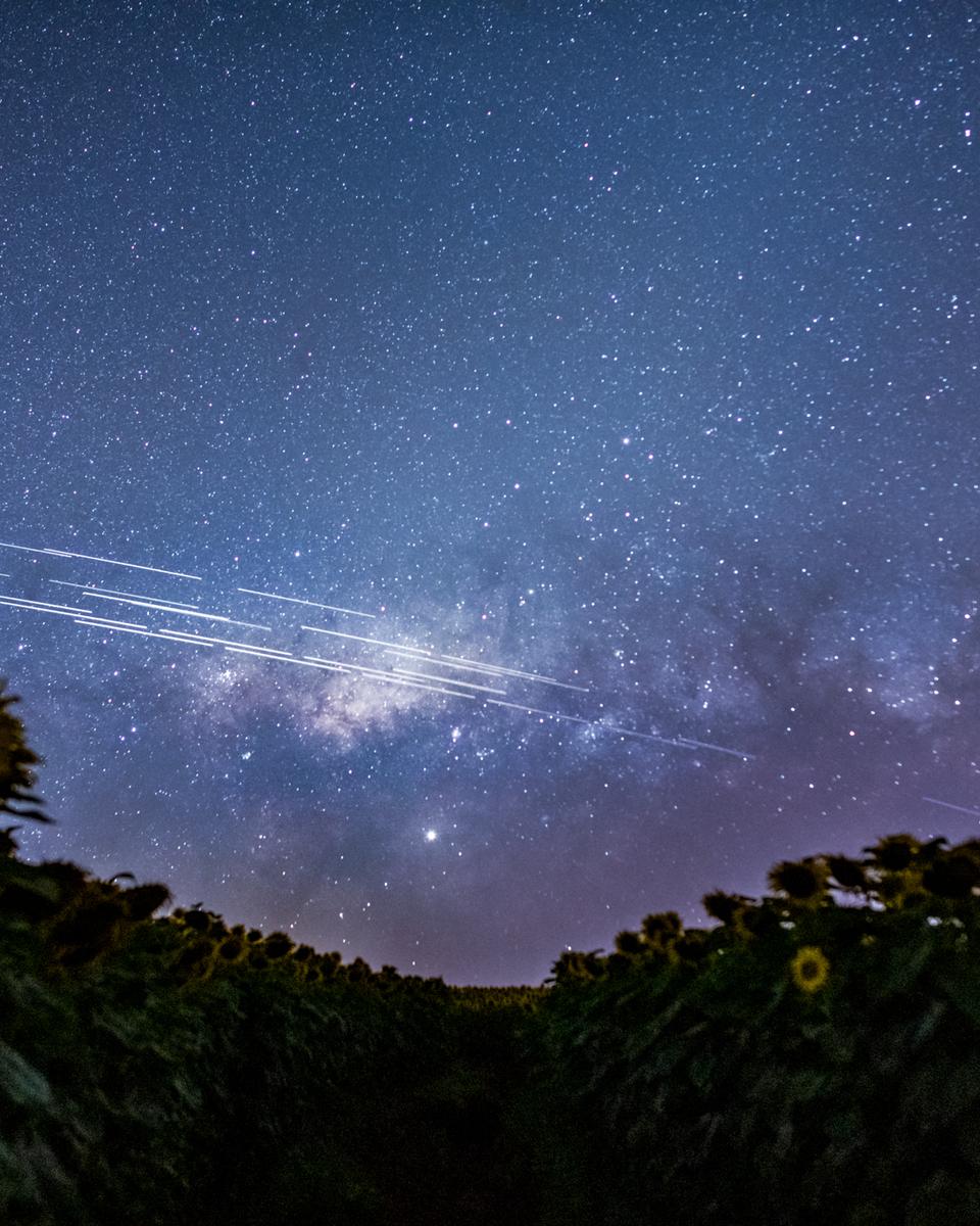 Starlink Satellite Trails over Brazil