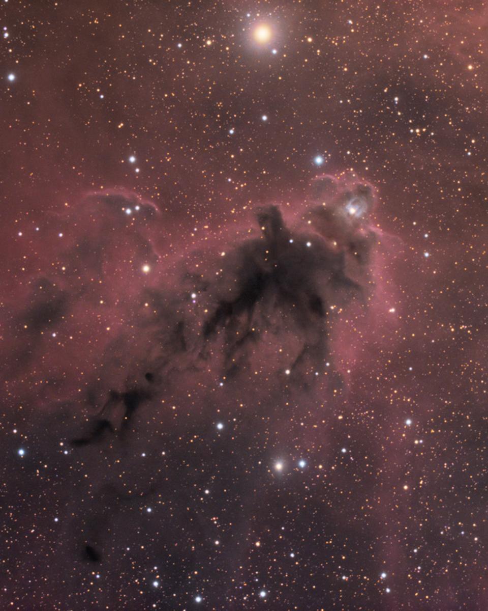 LDN 1622: Dark Nebula in Orion