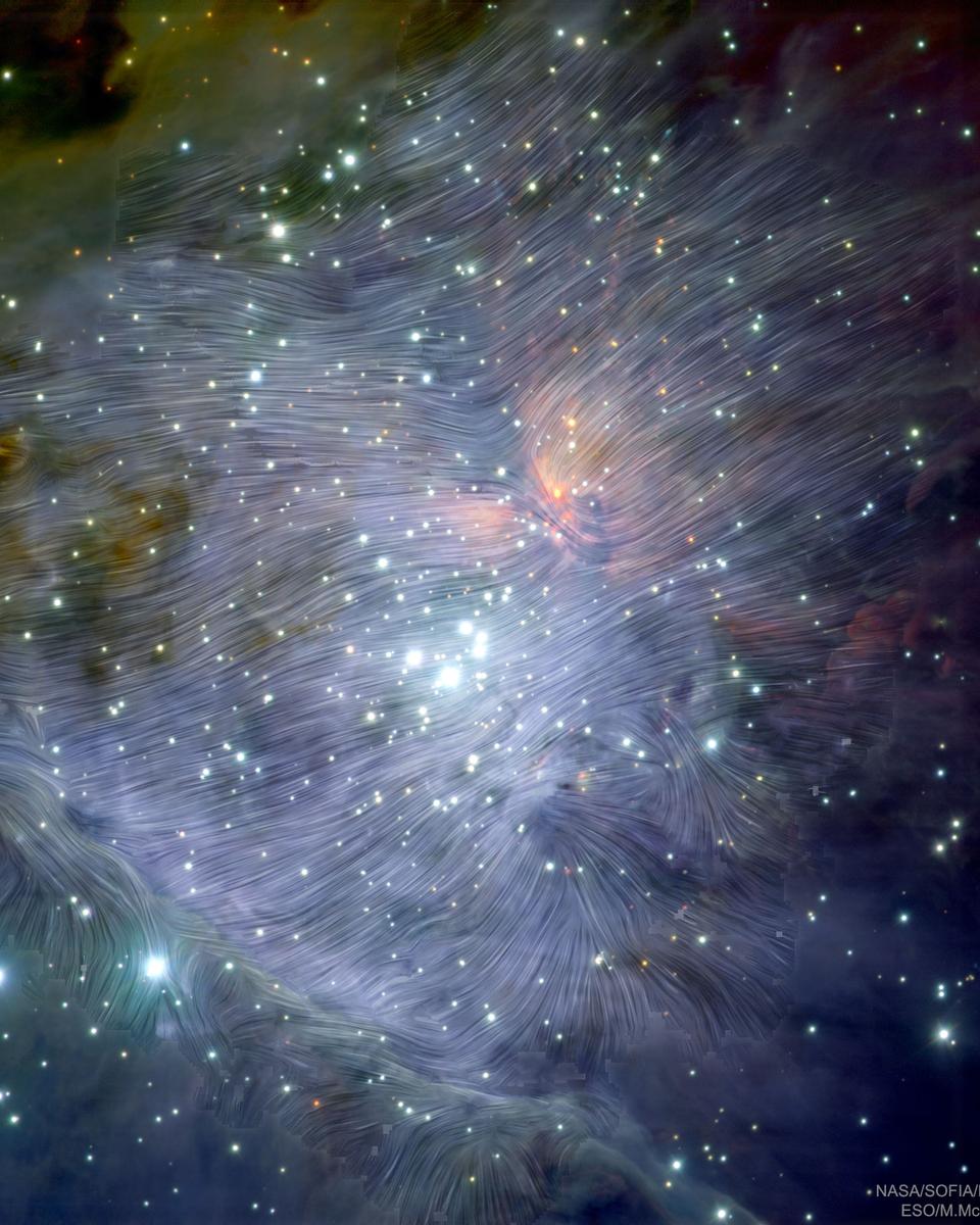 Magnetic Orion
