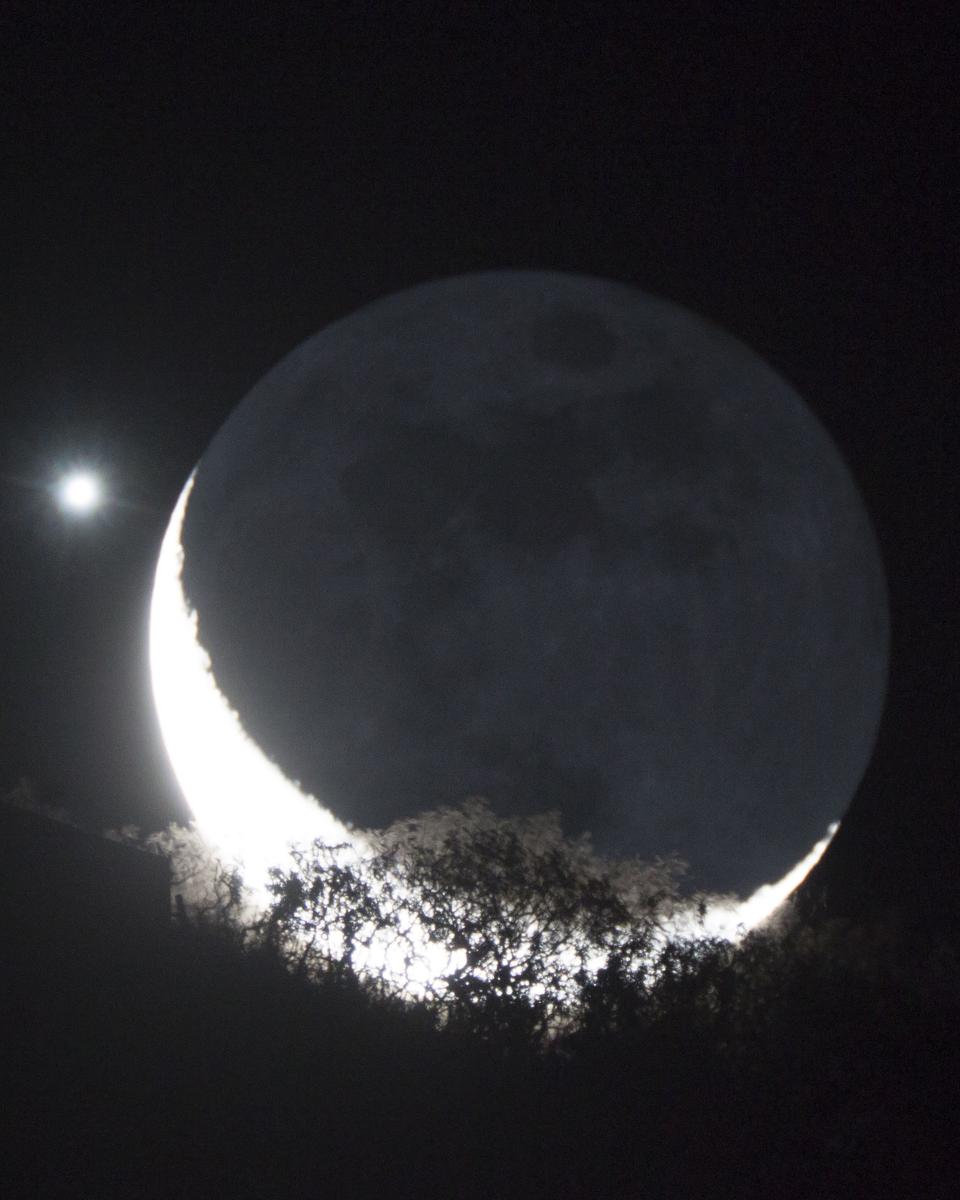 Moon and Venus Appulse over a Tree