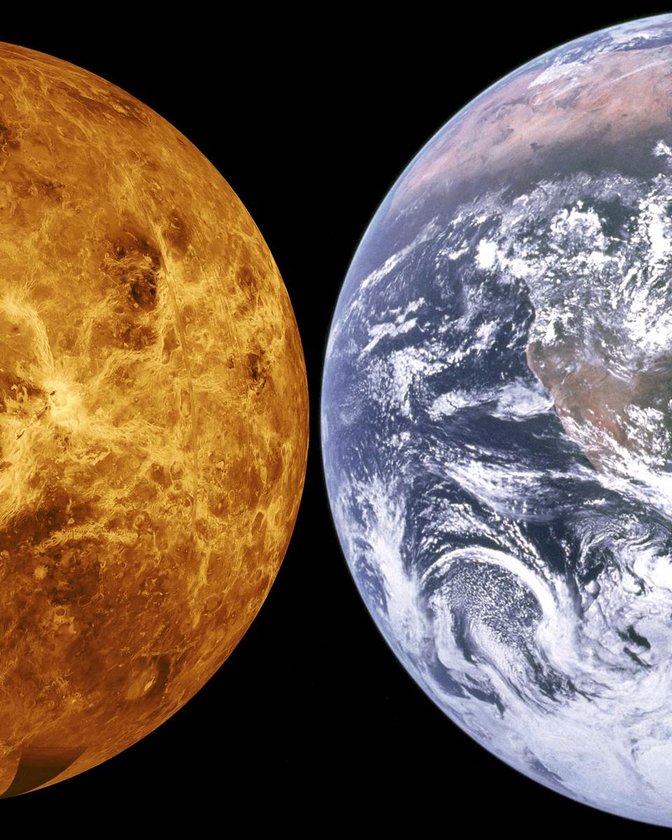 Venus Unveiled