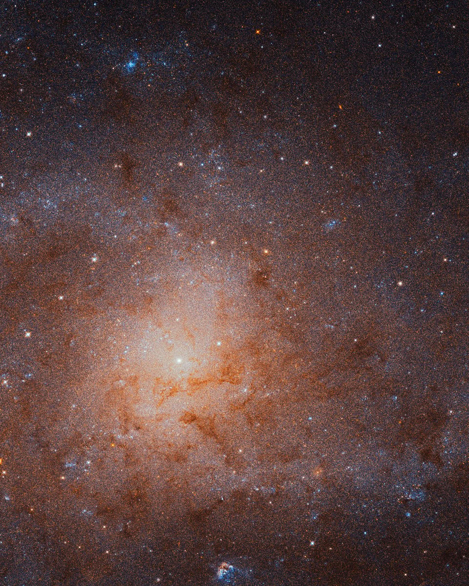The Stars of the Triangulum Galaxy