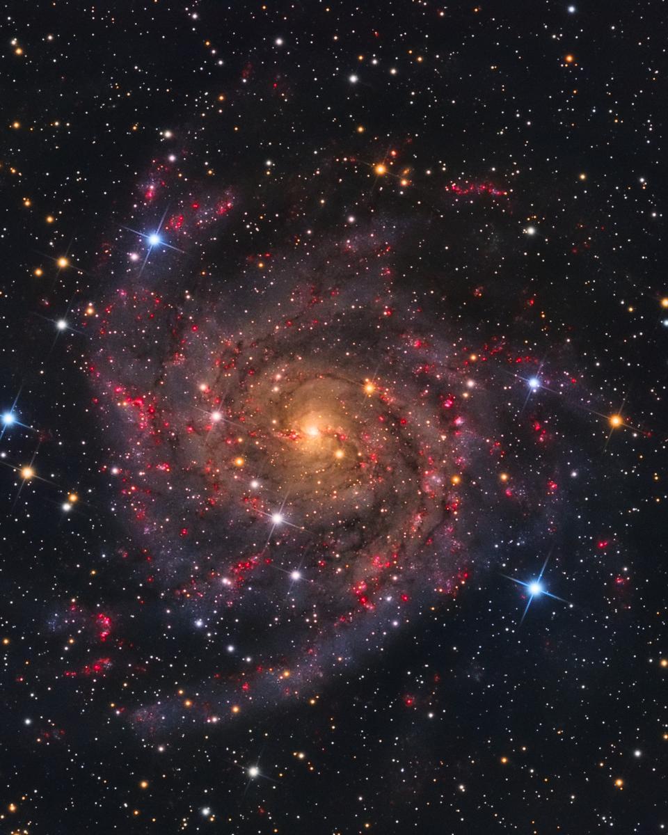 IC 342: The Hidden Galaxy