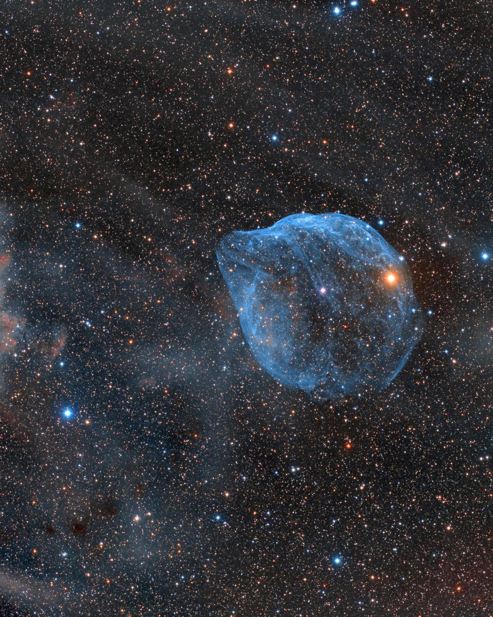 Sharpless 308: Star Bubble