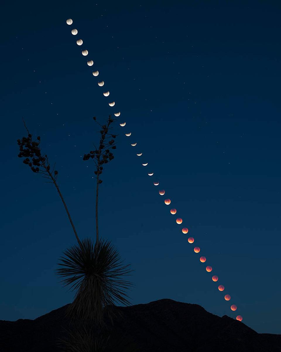 Total Lunar Eclipse at Moonset