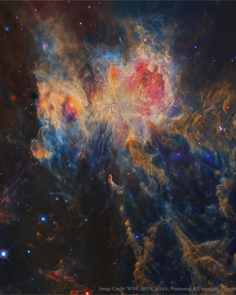 The Orion Nebula in Infrared from WISE