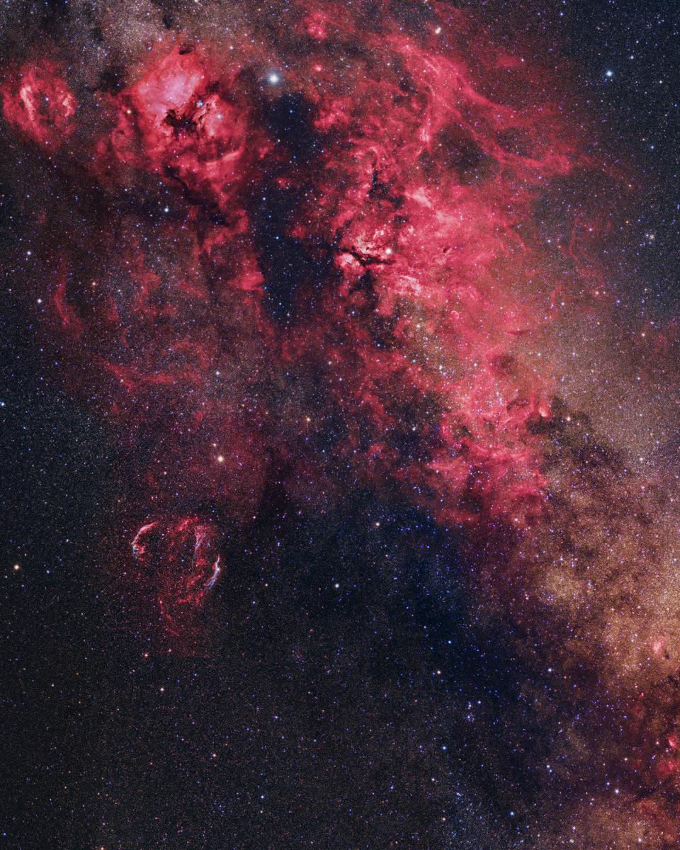 Cygnus Skyscape