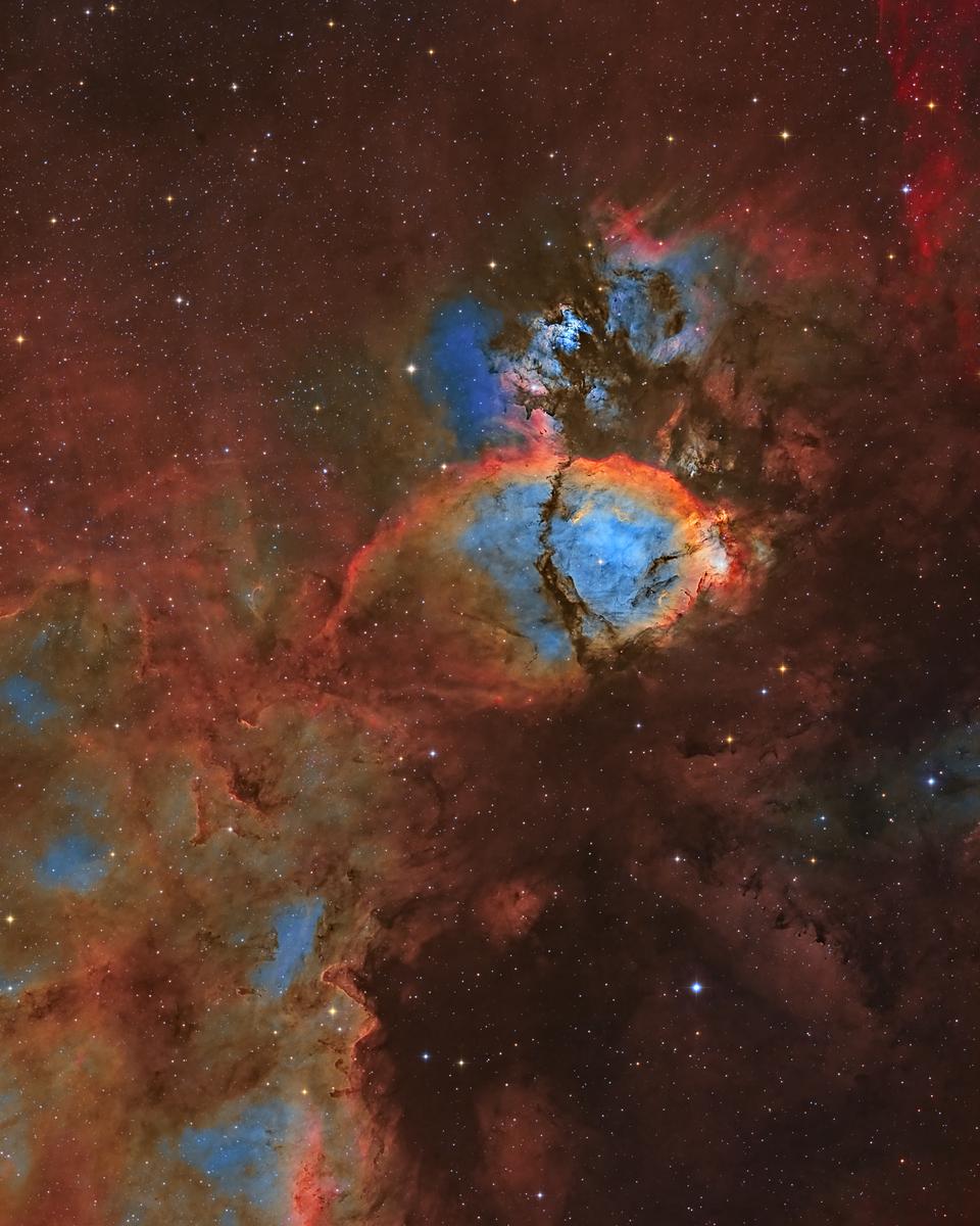 IC 1795: The Fishhead Nebula