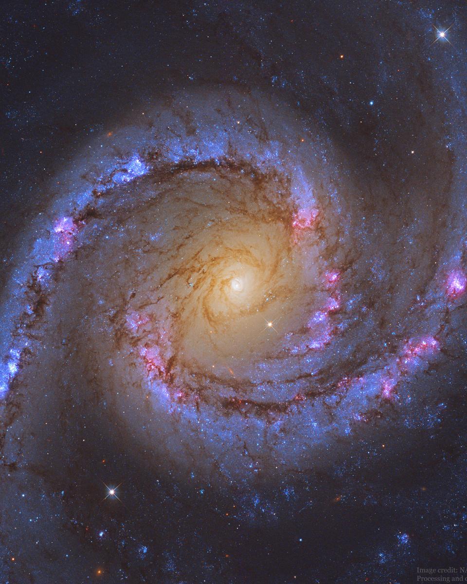 NGC 1566: The Spanish Dancer Spiral Galaxy