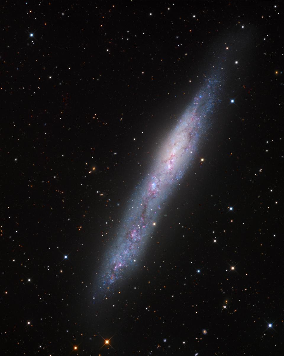 Magellanic Galaxy NGC 55
