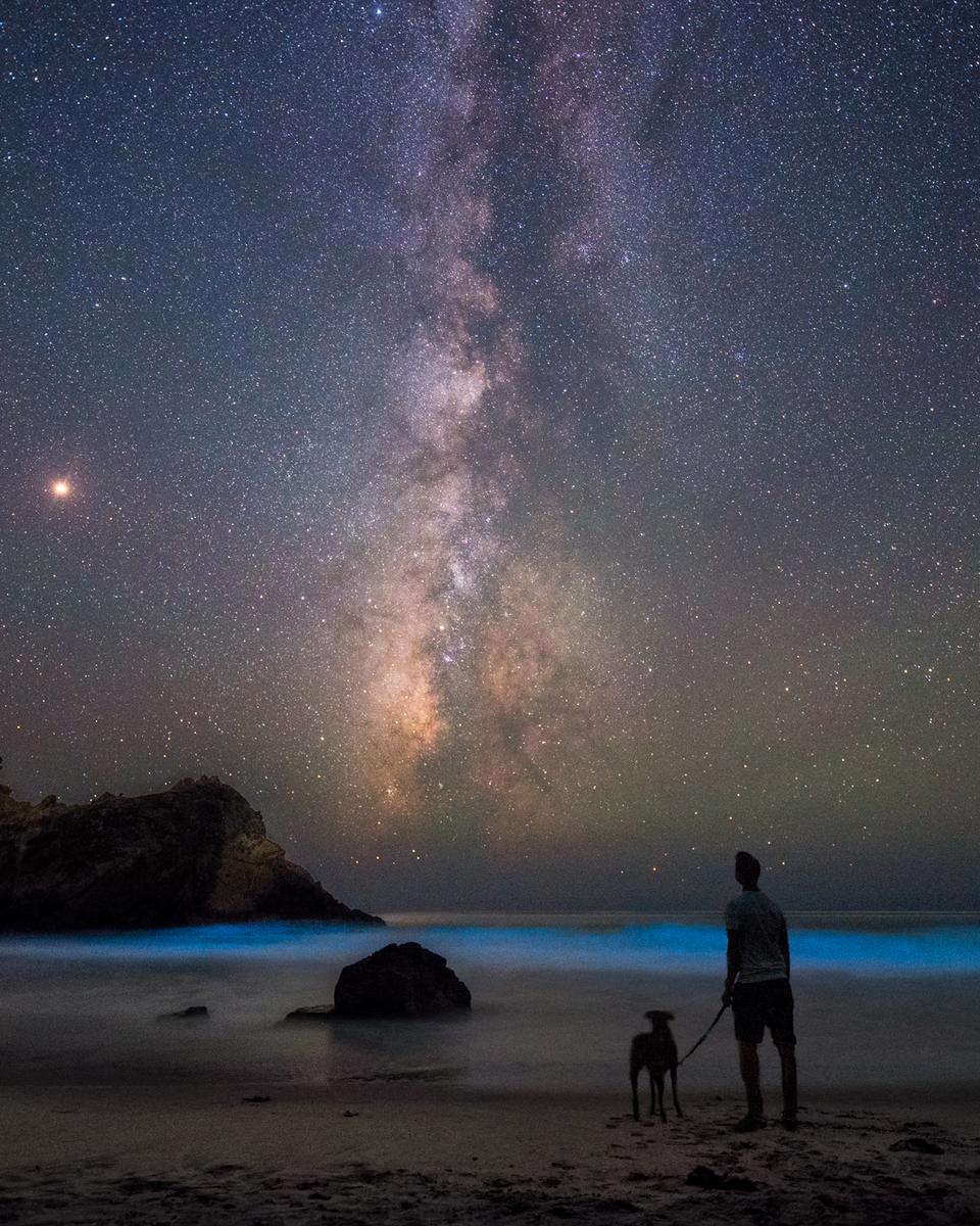 On the Beach with Mars