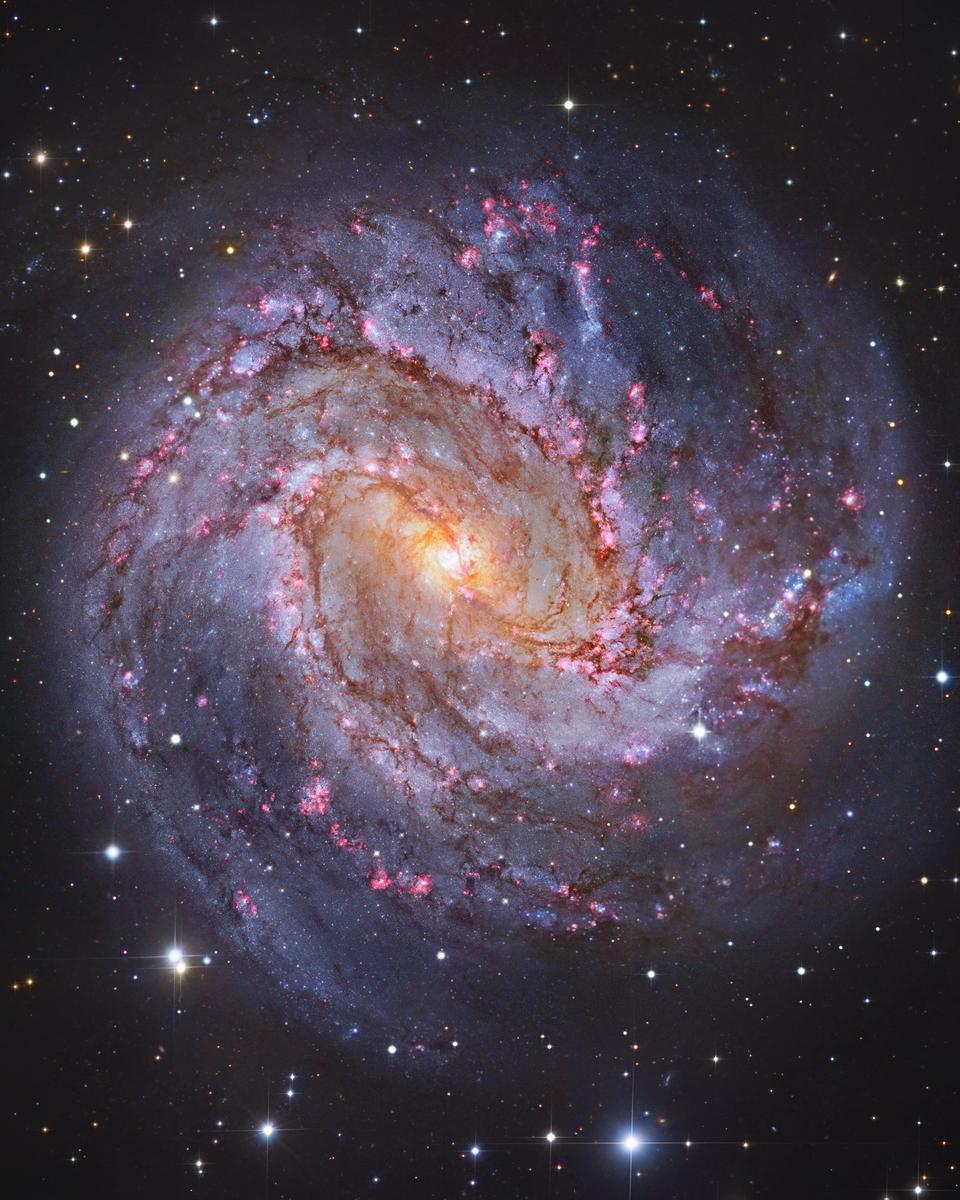 M83: The Thousand-Ruby Galaxy